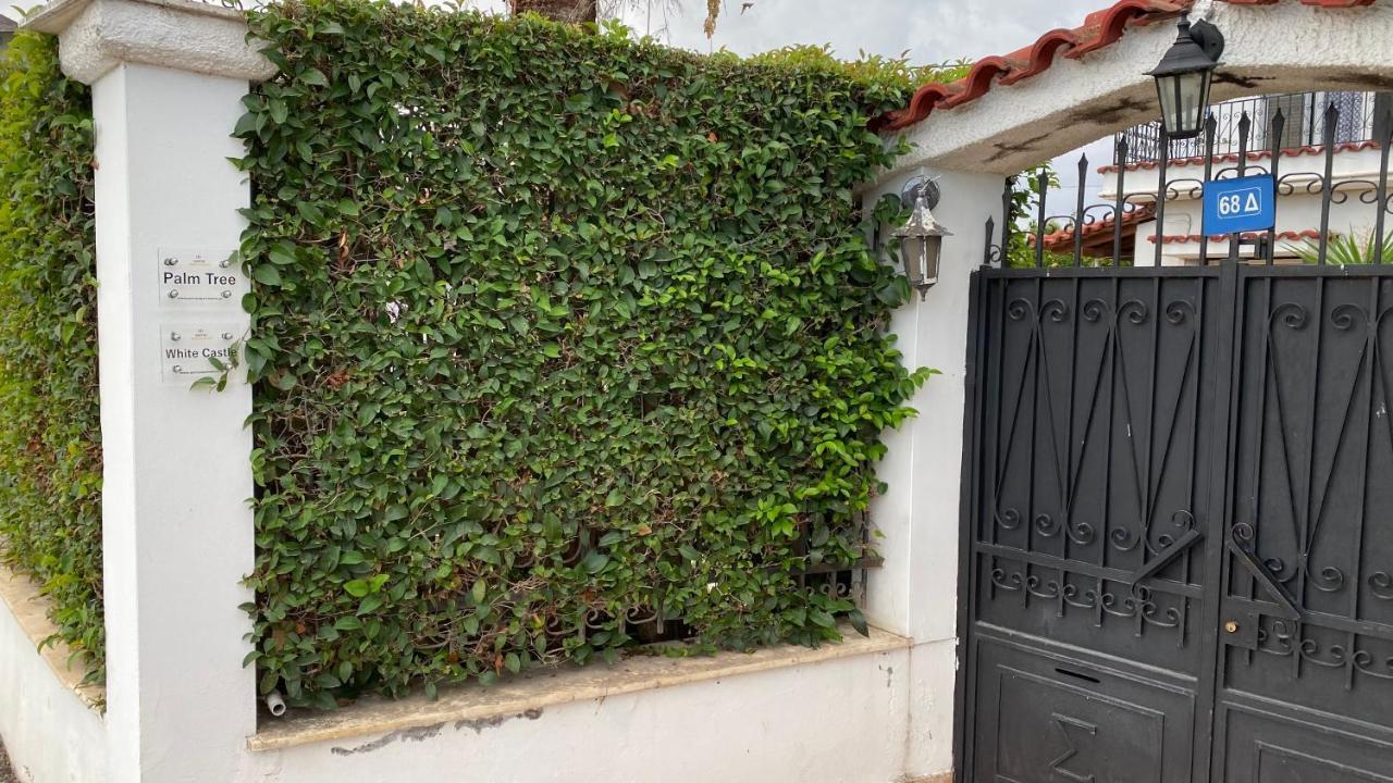 Patras Palm Tree Apartment Exterior photo