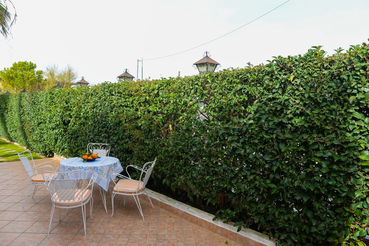 Patras Palm Tree Apartment Exterior photo