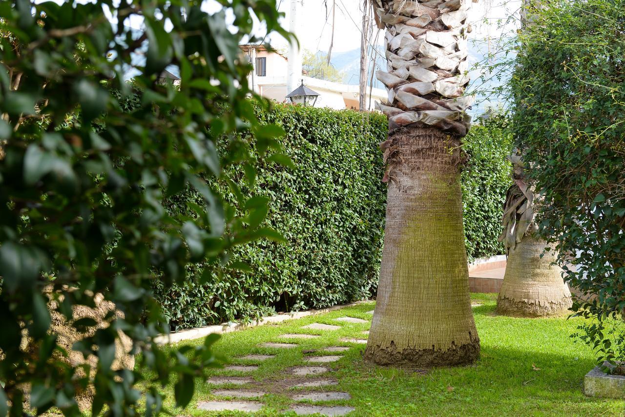 Patras Palm Tree Apartment Exterior photo